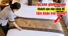 Tại sao giường ngủ khách sạn nào cũng để tấm khăn trải ngang?