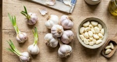 Mẹo bảo quản tỏi cả năm không mọc mầm, thơm ngon như mới mua