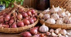 Đừng để hành tỏi vừa mua đã mọc mầm, mềm nhũn: 6 cách bảo quản lâu hỏng, ít thối móp