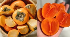 Sai lầm khi ăn quả hồng gây tắc ruột, ngộ độc, nhiều người không biết