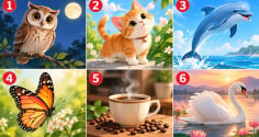Bạn chú ý vào hình ảnh nào nhất?