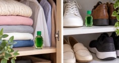 Vì sao nhiều người đặt lọ dầu gió trong tủ quần áo, giày dép? Mẹo nhỏ nhưng có 4 lợi ích đáng chú ý