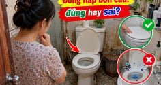 Đóng nắp bồn cầu ngay sau khi đi vệ sinh, đúng hay sai?