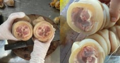 Vó bò là bộ phận nào của con bó?