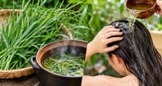 Vì sao nhiều người mách nhau gội đầu bằng nước cỏ mần trầu?
