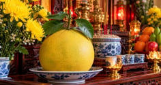 Ý nghĩa bất ngờ của quả bưởi trên ban thờ: Vì sao nhiều gia đình dùng để dâng cúng?