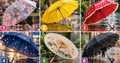 Chọn 1 chiếc ô bạn muốn cầm khi trời mưa