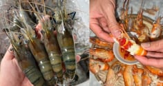 Phần đen trên đầu tôm là gạch hay chất thải: Cách đơn giản để phân biệt