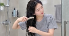 Có nên chải tóc khi đang gội đầu?