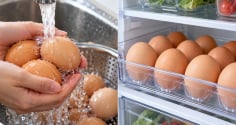 Vì sao không nên rửa trứng trước khi cất? Nếu trứng bẩn hãy làm cách khác