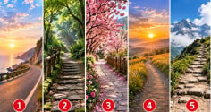 Chọn một con đường bạn muốn đi: Phía trước là thử thách hay cơ hội?