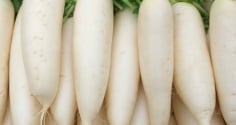 Lợi ích của việc ăn củ cải trắng thường xuyên