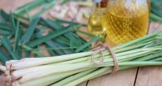 Vì sao nên đặt bó sả vào nhà vệ sinh