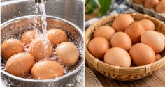 Tại sao không nên rửa trứng trước khi cất?