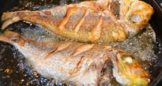 Cách rán cá không ngấm dầu, da vàng ươm, giòn rụm
