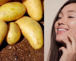 Mẹo cấp ẩm tự nhiên từ nguyên liệu quen thuộc