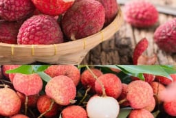 5 Bí Quyết Giữ Vải Thiều Tươi Ngon Trong Nhiều Ngày Mà Không Bị Hỏng