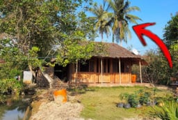 Tứ Kỵ trước nhà không đau ốm cũng hao tài khánh kiệt: Đó là gì?