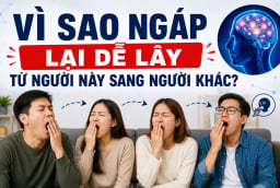 Vì sao ngáp lại dễ lây từ người này sang người khác?