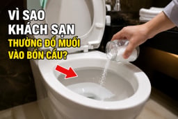 Vì sao khách sạn thường đổ muối vào bồn cầu?