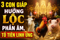 3 con giáp hưởng Lộc phần Âm, Tổ tiên linh ứng