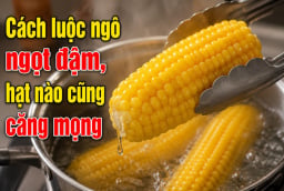 Cách luộc ngô ngọt đậm, hạt nào cũng căng mọng