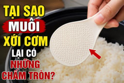 Tại sao muôi xới cơm lại có những chấm tròn?
