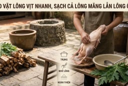 Mẹo vặt lông vịt nhanh, sạch cả lông măng lẫn lông ống