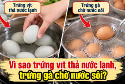 Tại sao luộc trứng vịt thả nước lạnh, luộc trứng gà phải chờ nước sôi?