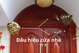 Tổ tiên dạy cửa nhà có dấu hiệu này tài lộc vây quanh, tiền như lũ, đừng hấp tấp làm sai mà mất lộc