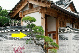 Nhà giàu bước vào cửa sẽ thấy ngay 4 thứ, nhà nghèo hiếm khi có: Đó là 4 thứ gì?