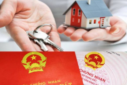 Những trường hợp sổ đỏ đã cấp sẽ bị thu hồi theo quy định mới nhất