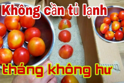 Cất cà chua vào tủ lạnh ngay là hỏng: Người nông dân mách 1 cách dễ, để vài tuần vẫn căng mọng