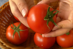 Bảo quản cà chua theo cách này, không cần cho vào tủ lạnh vẫn tươi ngon, lâu hỏng