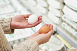 Vì sao ở nước ngoài trứng nâu đắt hơn trứng trắng? Ăn trứng nào bổ hơn?