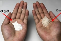Trộn đường trắng với bột giặt đem rắc quanh nhà, hiệu quả 'vàng mười' ai cũng thích
