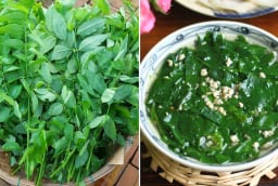 Rau ngót ngon - bổ - rẻ nhưng có 5 nhóm người không nên ăn