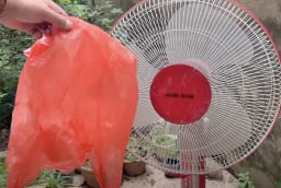 Vệ sinh quạt điện không cần tháo khung, làm theo cách này là loại bỏ hết bụi bẩn