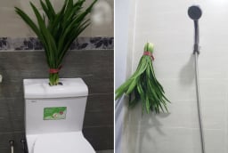 Đặt bó lá này trong nhà vệ sinh: Cả tuần không có mùi hôi, đuổi sạch đàn muỗi, dĩn