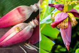 Hoa chuối - món ăn dân dã mang lại 8 lợi ích tuyệt vời cho sức khỏe