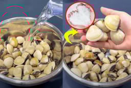Rửa ngao ốc, người cho ớt, người cho rượu, sai hết: Thêm vào thứ này ngao ốc nhả sạch bẩn
