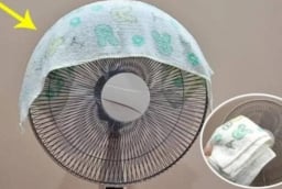 Mùa hè, chỉ cần đắp chiếc khăn vào quạt: Cả nhà mát rượi, ngủ ngon, tiết kiệm cả triệu tiền điện