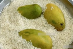 Gạo không chỉ để ăn: 7 công dụng bất ngờ bạn nên biết