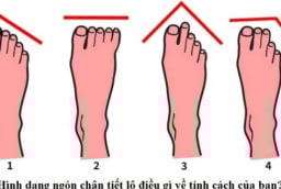 Chuyên gia tướng số tiết lộ: Nhìn chiều dài ngón chân biết ngay số phận giàu sang hay nghèo khó