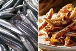 Loại cá 'bé tý' nhưng canxi gấp 25 lần cá hồi: Ở Việt Nam Giá rẻ bèo bán đầy ngoài chợ