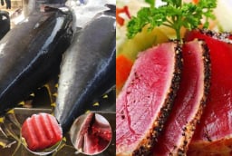 Nga chi triệu đô nhập cá ngừ Việt: Giàu vitamin D, tốt cho tim và vóc dáng