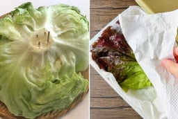Bảo quản xà lách theo cách này, để cả tuần vẫn tươi rói, không bị úng