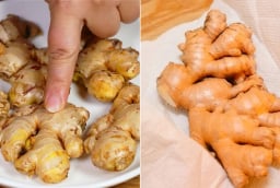 2 tuyệt chiêu quản gừng tươi cả năm, không cần cất tủ lạnh