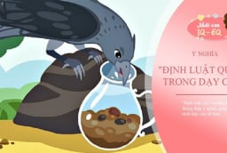 Con cái ương bướng hỗn hào: Áp dụng ngay 'Luật Quạ' này dạy con văn minh, đúng cách