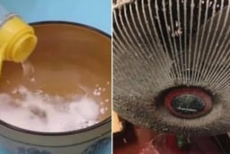 Cách vệ sinh quạt điện sạch bong như mới, không cần tháo khung, chỉ mất vài phút